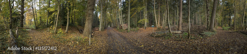 Forest Maatschappij van Weldadigheid Netherlands. Sterrebos. Frederiksoord Drenthe Netherlands. Fall. Autumn. Panorama. photo