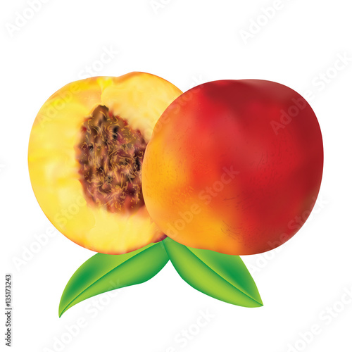 realistic peach with leaves and half a peach with pits isolated on white background abstract art creative vector element for design