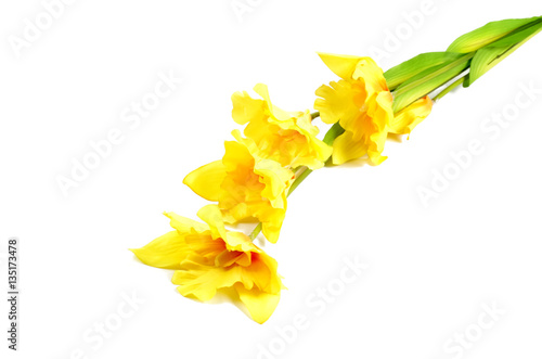 Artificial flowers for design and home decoration - lily isolated on white background