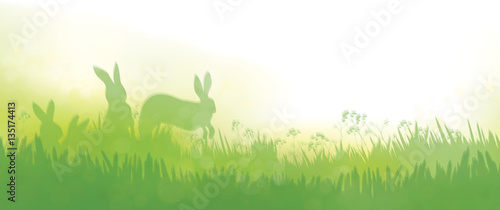 Vector  rabbits in  grass nature background. © rvika