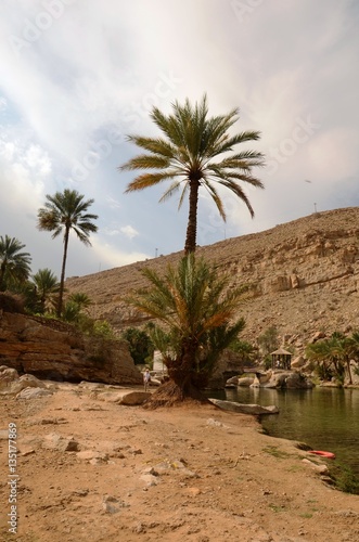 Oman   Wadi Bani Khalid 