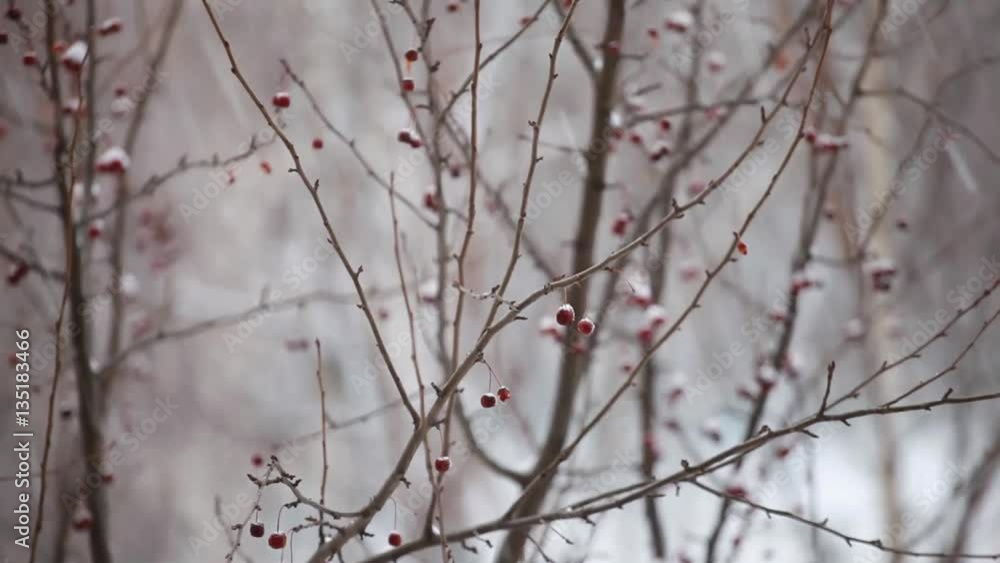 Snow falls and swirls
Snow falls and swirls