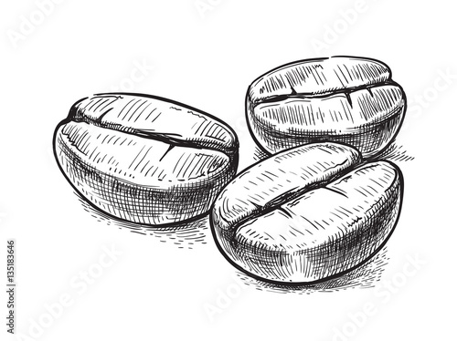 coffee bean symbol vector