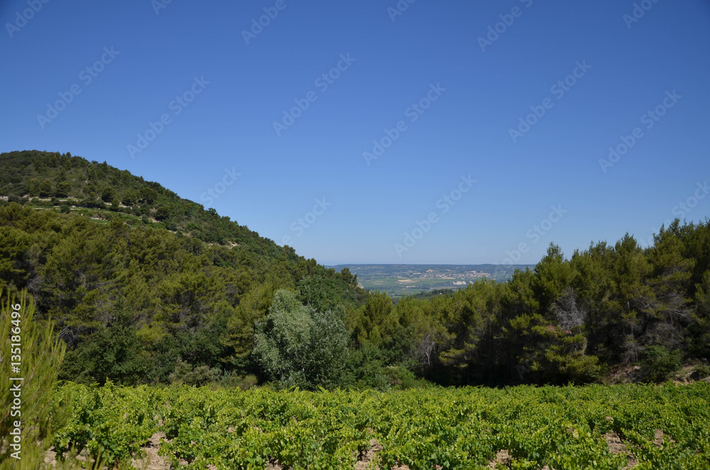 Obraz premium dentelles de montmiraille