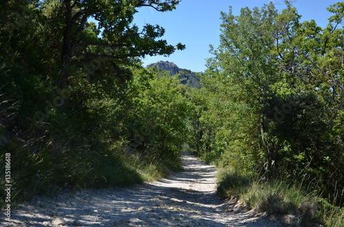 dentelles de montmiraille