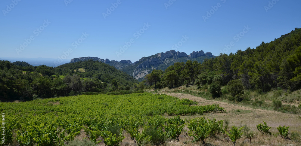 Naklejka premium dentelles de montmiraille