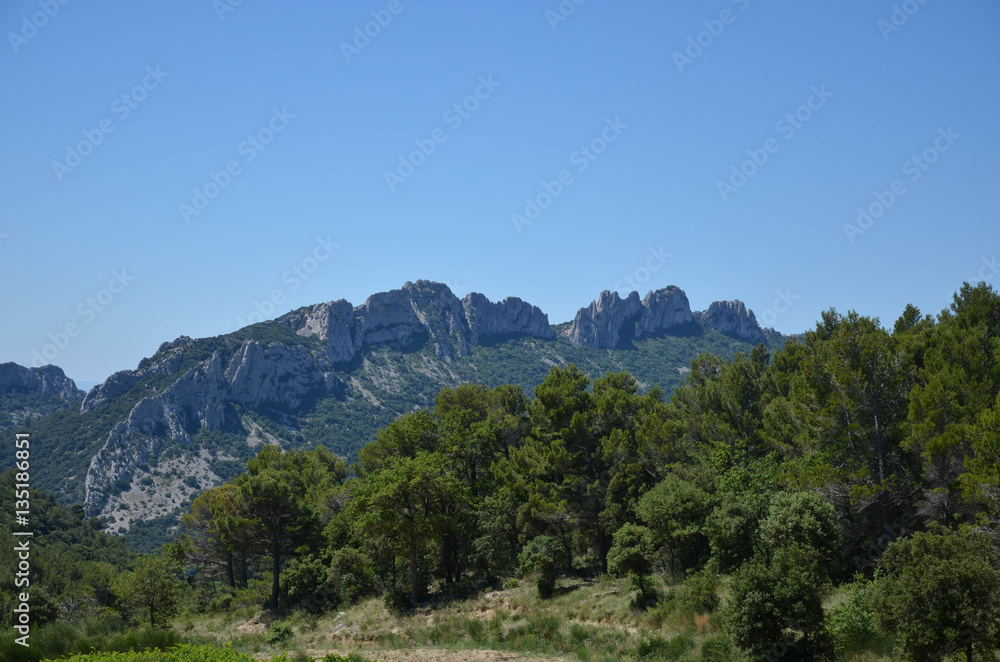 dentelles de montmiraille