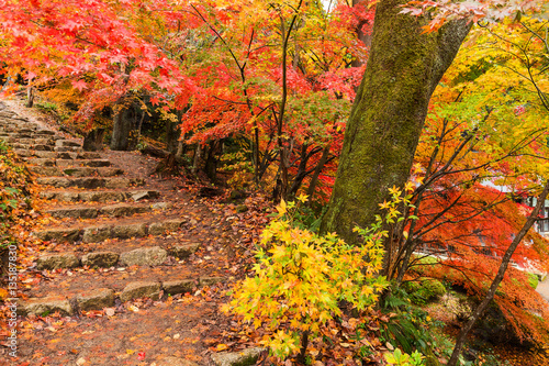 Japanese temple in autumn