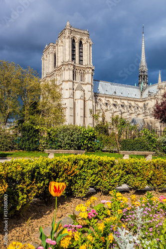 Notre Dame cathedral during spring time in Paris, France