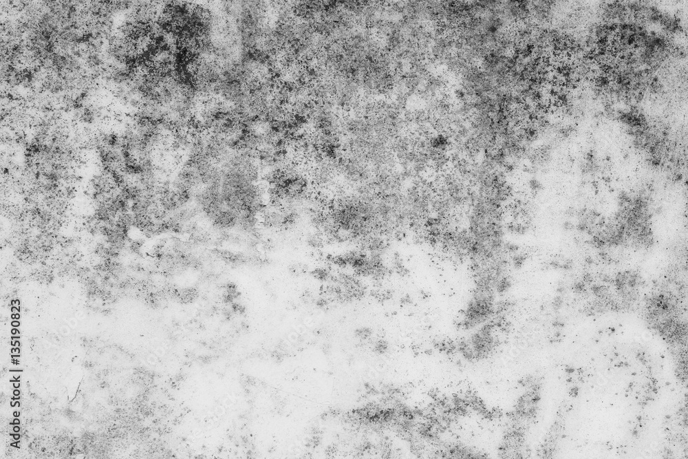 Wall fragment with scratches and cracks Wall fragment with scratches and cracks