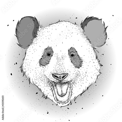 Fototapeta Naklejka Na Ścianę i Meble -  The poster with the image panda portrait. Hand draw vector illustration.
