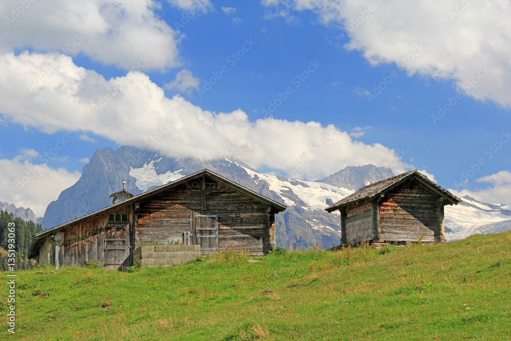 hütten, grindelwald, alpen, schweiz 