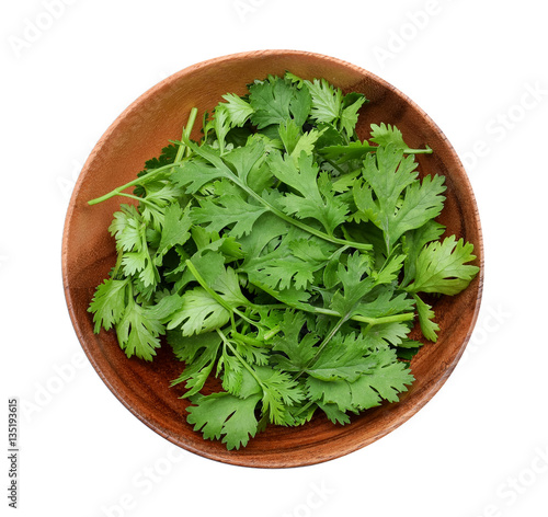 Top view of fresh coriander leaves