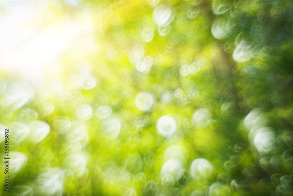 Obraz premium Abstract blurry spring nature bokeh background