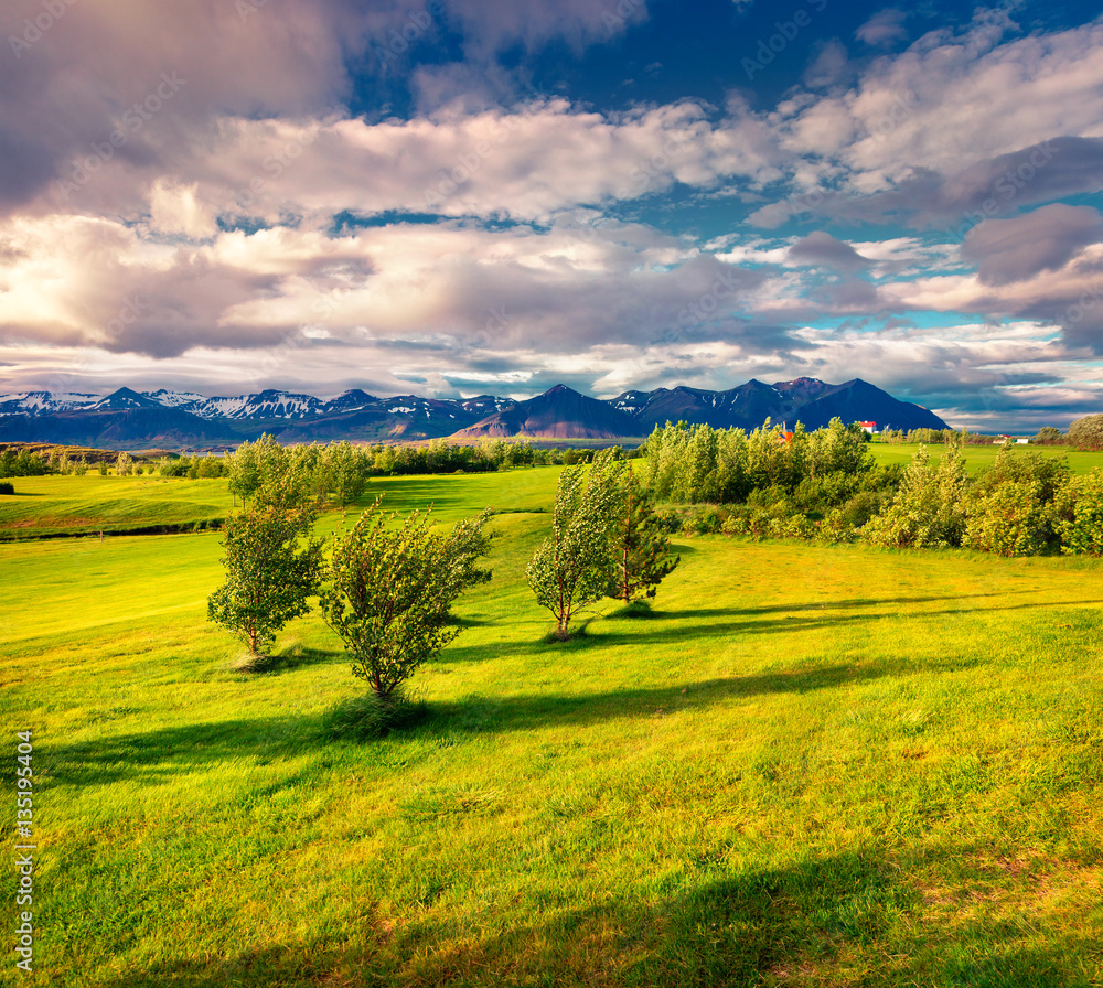Typical Icelandic landscape with field of green grass in the Jun