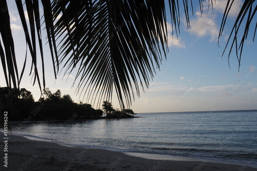 Fototapeta premium Martinique Anse du figuier lever du jour 