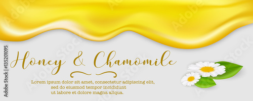 Realistic golden honey vector background with cute daisies. Chamomile and honey concept.