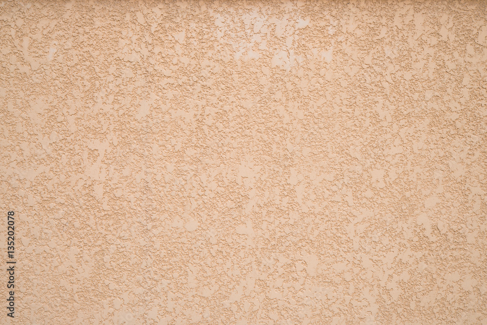 plaster woodworm plaster woodworm