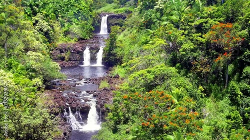 A vibrant image of Umauma Falls in Hawaii shows the three tier cascade of a beautiful natural wonder. photo
