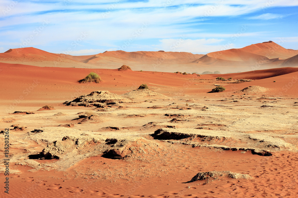 Fototapeta premium Sand and dune in Sossusvlei Namibia