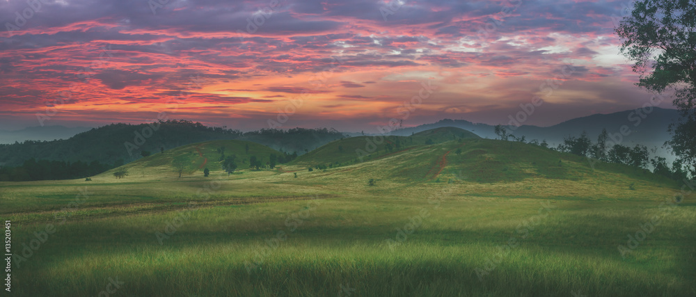 ' Grassy hill ', beautiful natural green grass meadow field hill at dawn.colorful sky at sun rises.
