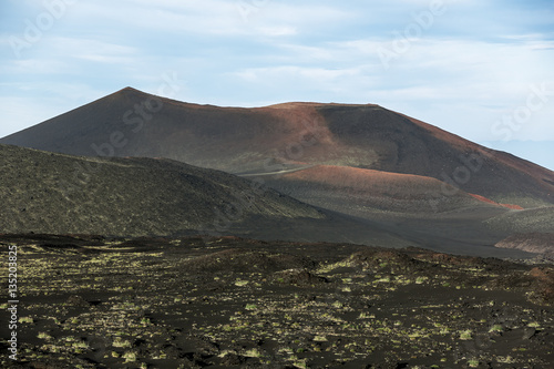 View from the volcanic plateau Tolbachik on dead wood, and the cone of an active volcano Kizimen - Kamchatka, Russia photo