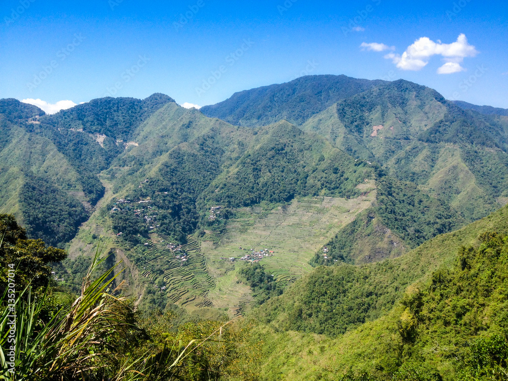 Naklejka premium Rice Terrrace