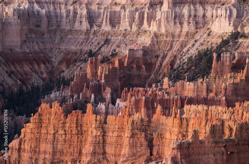 Bryce Canyon Hoodoos sunrise