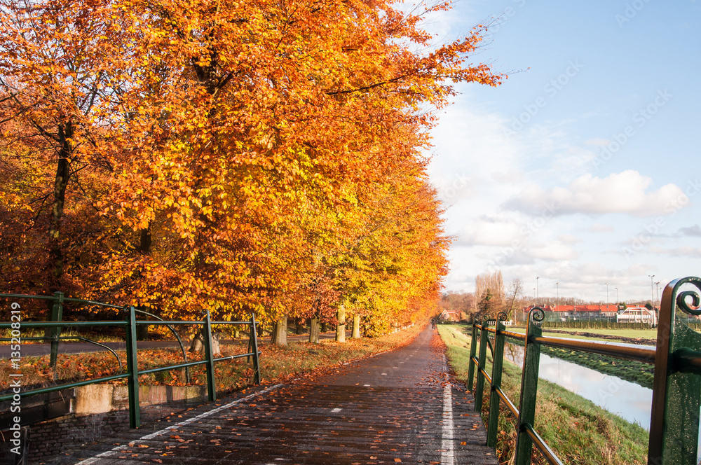 Autumn in the Netherlands with beautiful colors