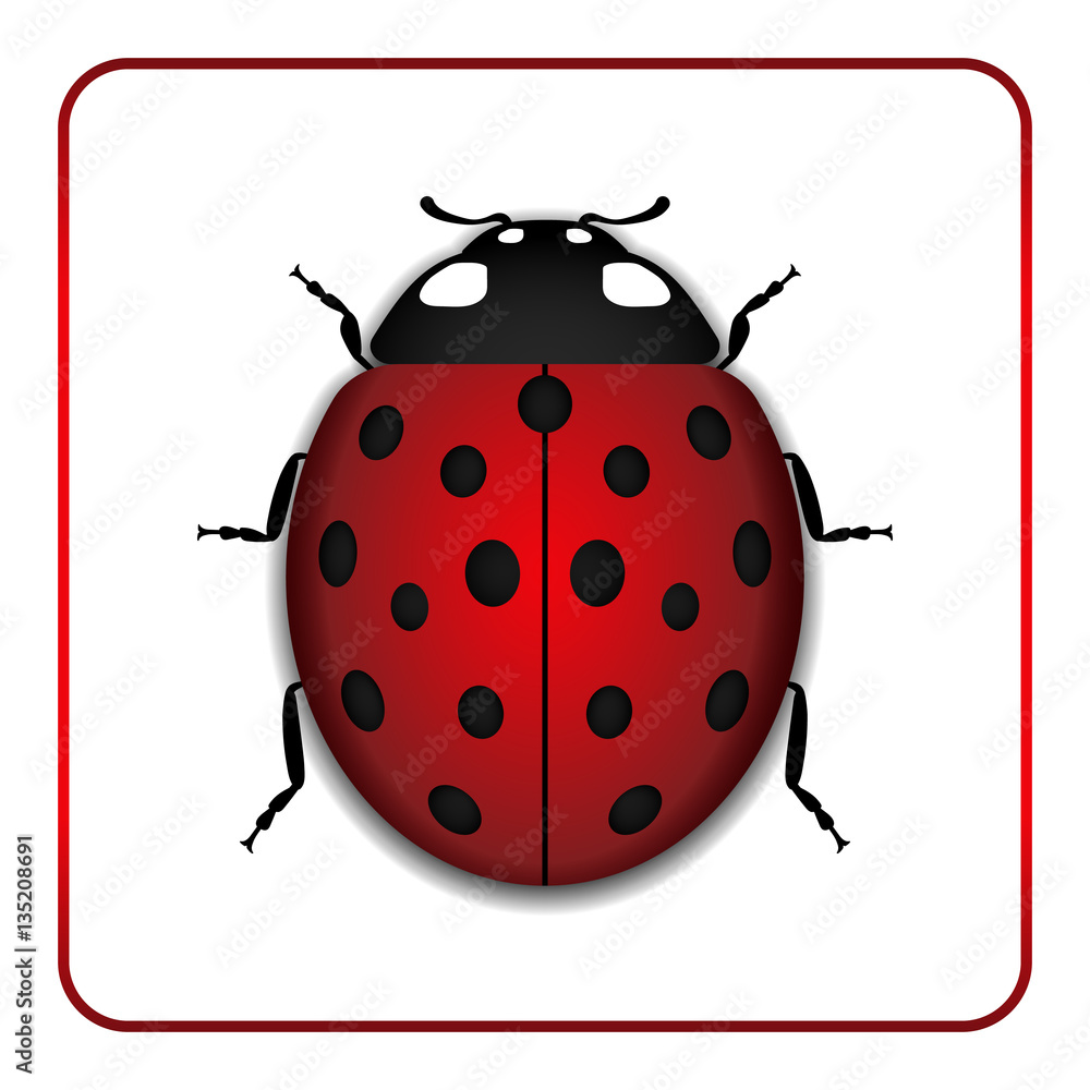 Ladybug small icon. Red lady bug sign, isolated on white background. 3d volume design. Cute colorful ladybird. Insect cartoon beetle. Symbol of nature, spring or summer. Vector illustration Ladybug small icon. Red lady bug sign, isolated on white background. 3d volume design. Cute colorful ladybird. Insect cartoon beetle. Symbol of nature, spring or summer. Vector illustration
