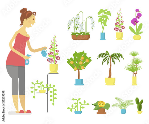 Window gardening infographic elements. Woman floriculturist takes care of indoor flowers. Vector set of flat illustration of horticultural sundry, house plants and flowers in pots. EPS 10
