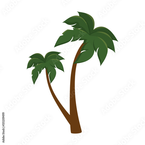 tree palm isolated icon vector illustration design