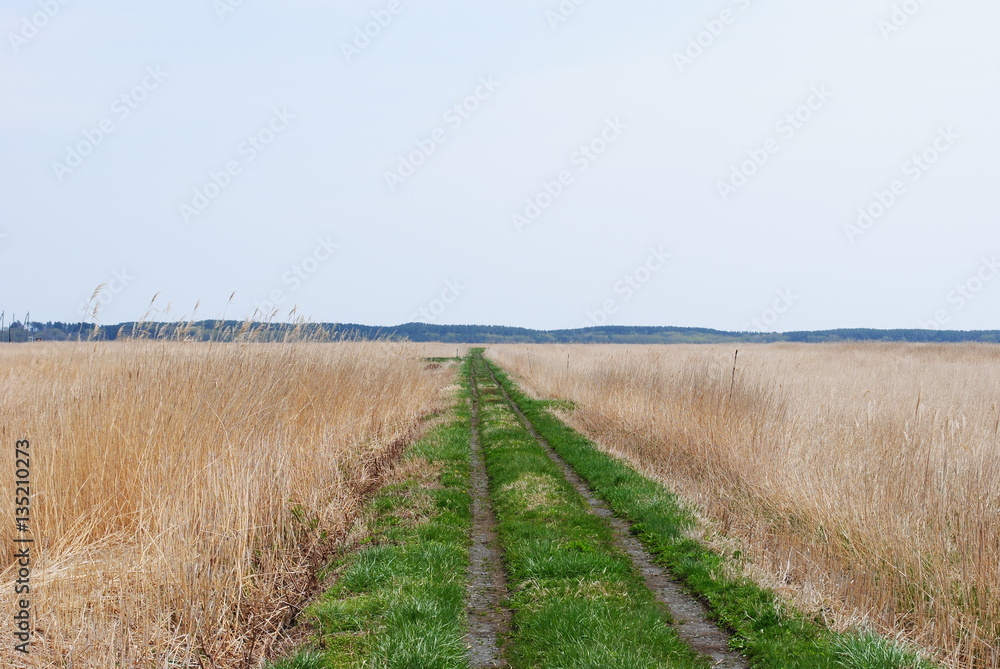 Path through the fields