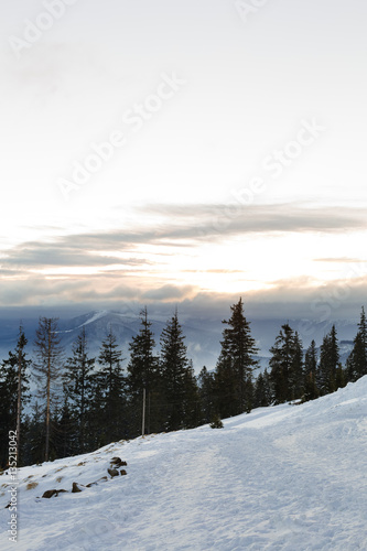 Sunrise at winter mountain landscape. in Carpathian Mountains, Ukraine