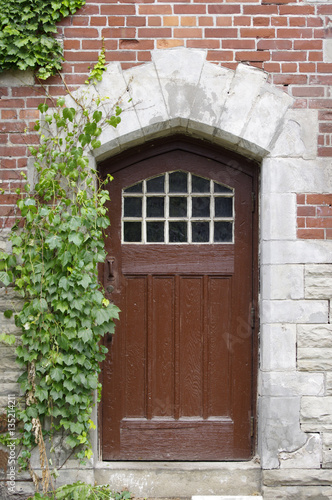 Old wooden door with ivy