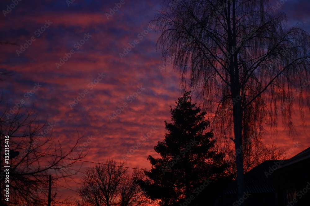 Obraz premium Sunset