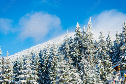 Winter landscape in carpathian mountais