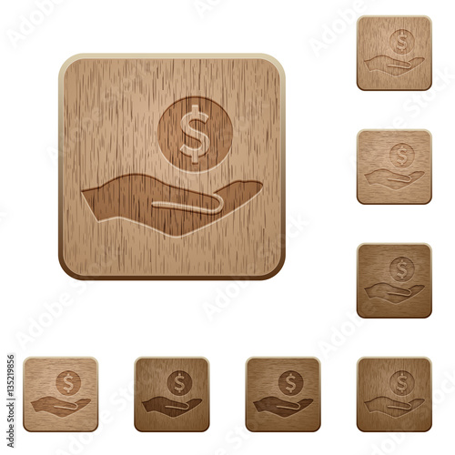 Dollar earnings wooden buttons