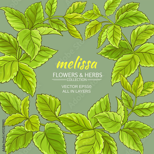 melissa vector frame