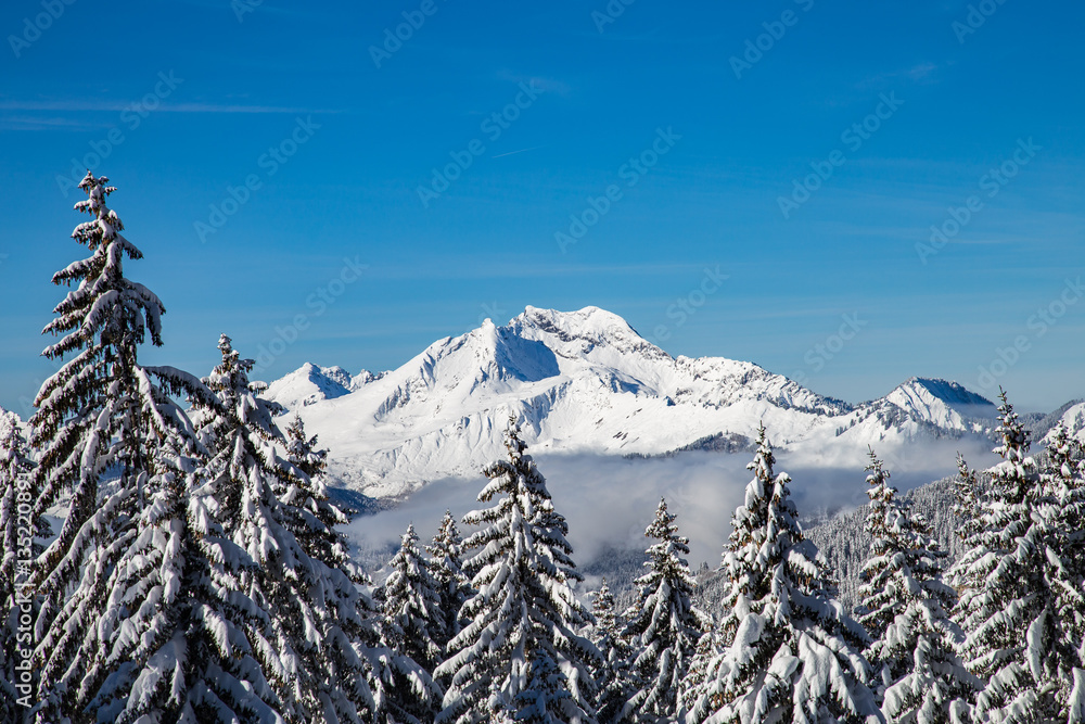 Snowy white mountains range with trees and blue sky