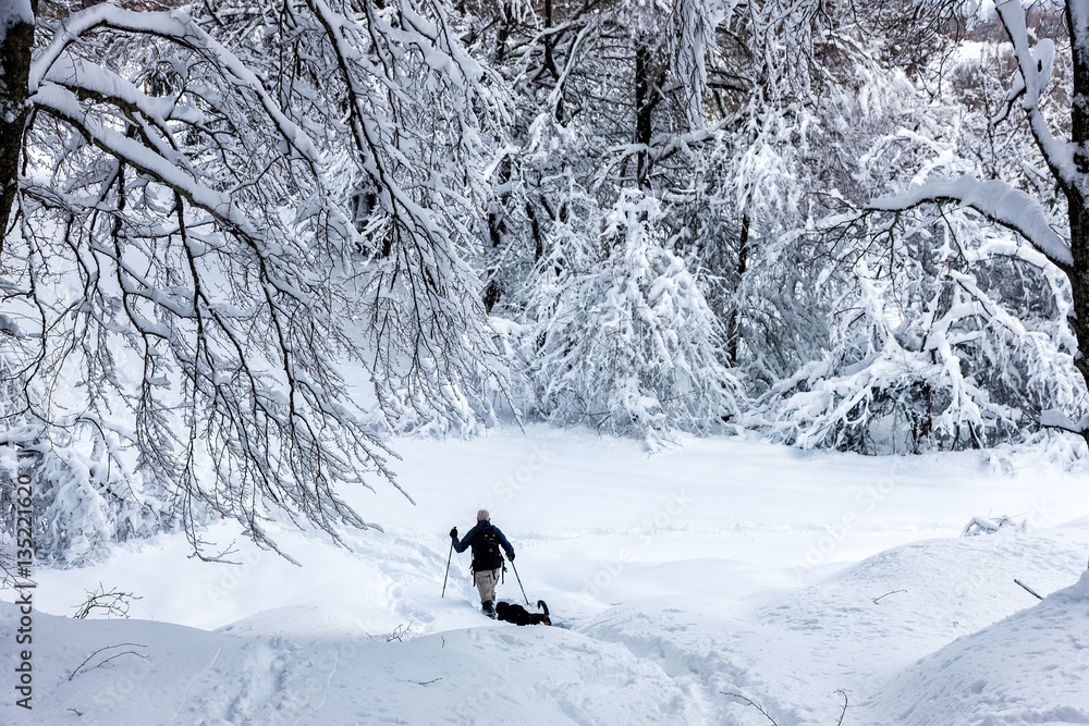  unknown man party with his dog walking in a snowy landscape in