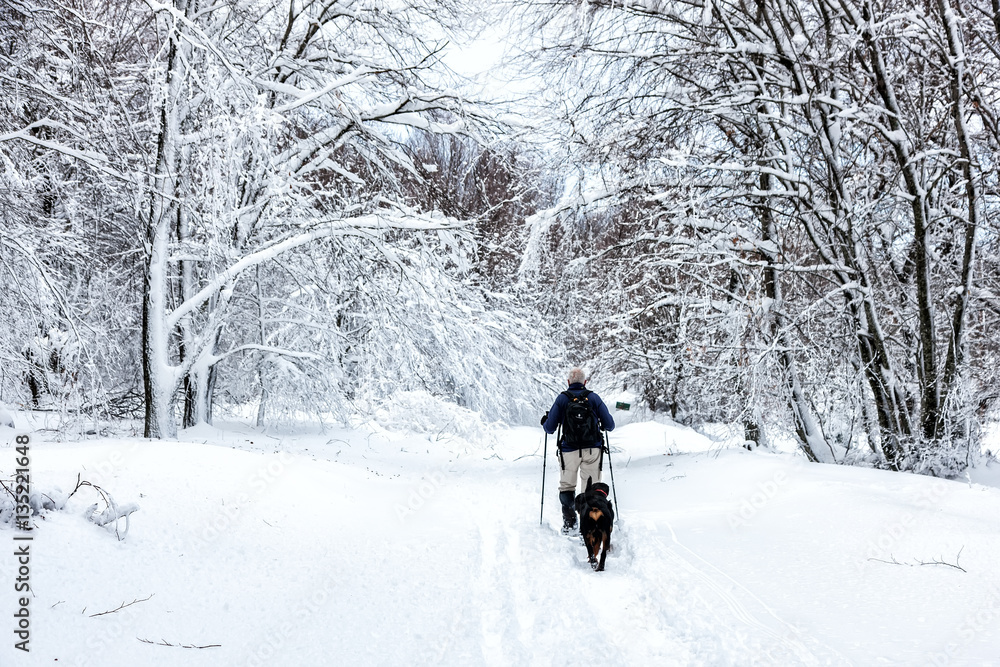 unknown man party with his dog walking in a snowy landscape in unknown man party with his dog walking in a snowy landscape in