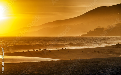 фотографія Silhouettes of seagulls on California beach with hazy sunset background