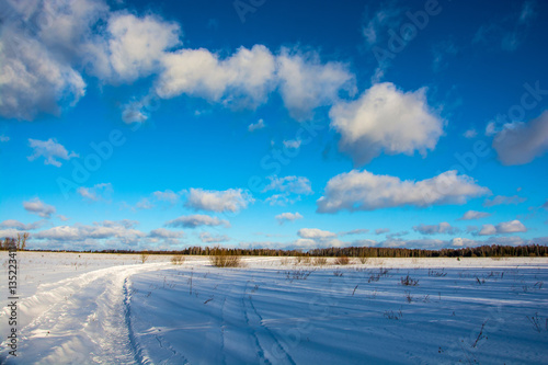 Winter landscape at Sunny winter day.