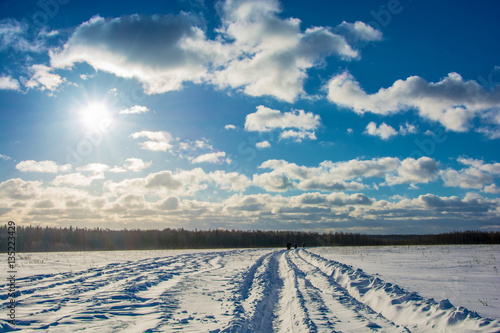 Winter landscape in the backlight.