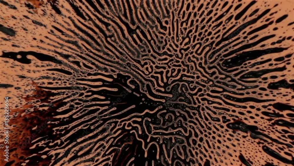 Fantastic patterns and shapes. Ferrofluid and paint. Close-up. Fantastic patterns and shapes. Ferrofluid and paint. Close-up.