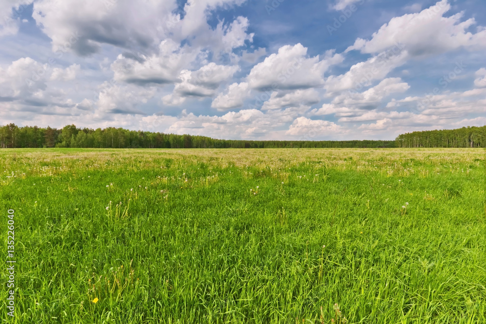 Green field Green field