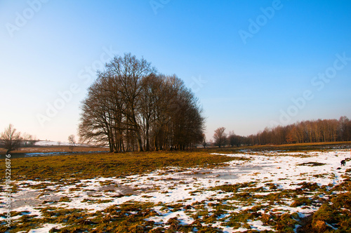 Winter pasture and rays of sun