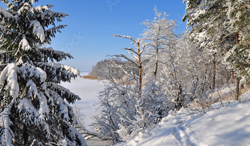 Zima nad jeziorem Sajno