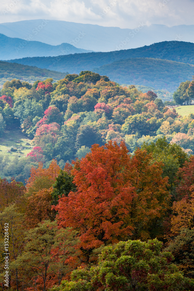 Colorful autumn leaves in West Virginia Colorful autumn leaves in West Virginia
